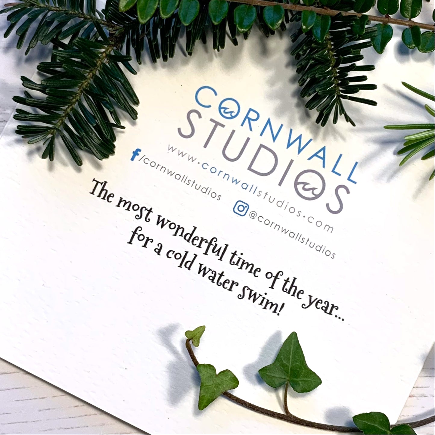 Wild Swimming Christmas Card Back text