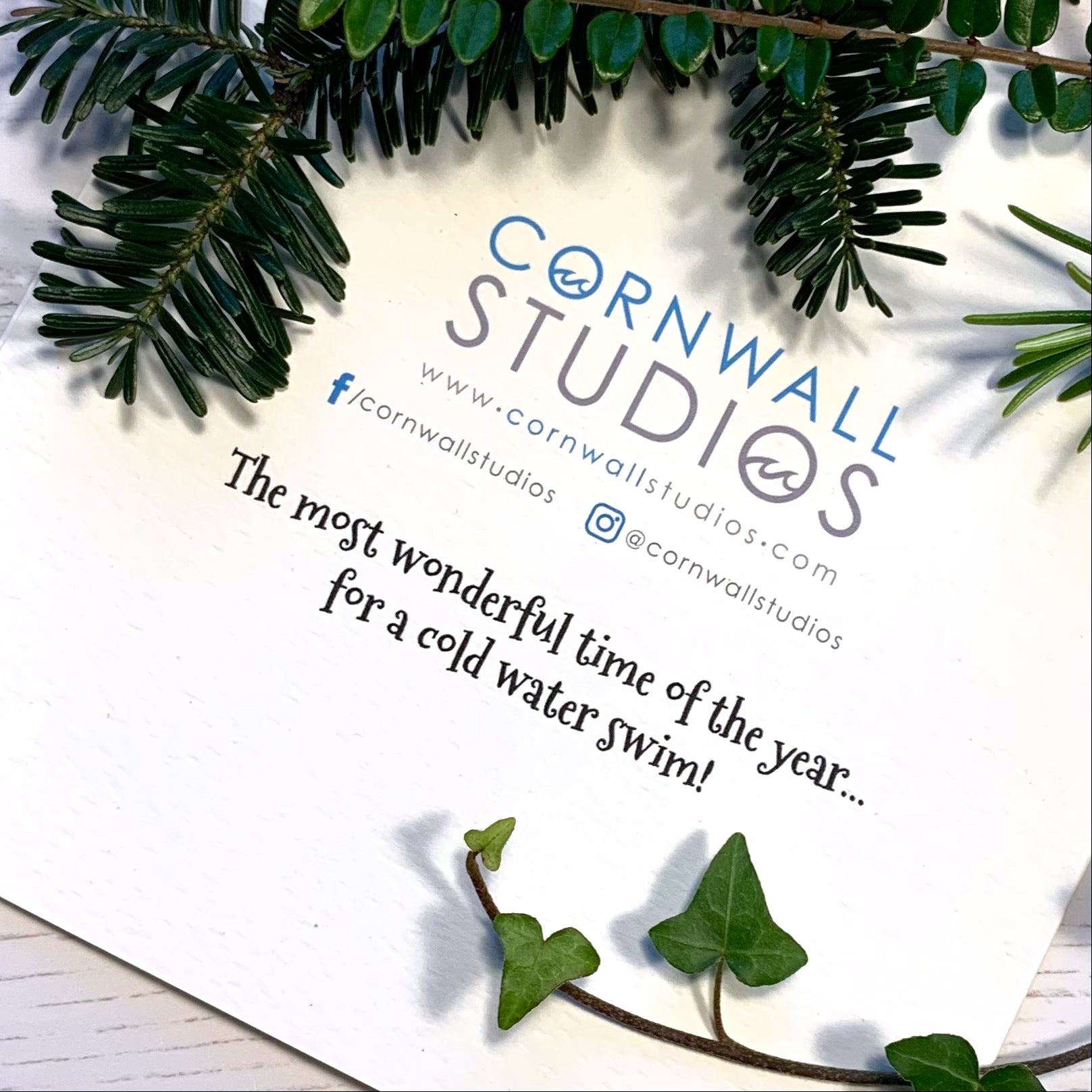 Wild Swimming Christmas Card Back text